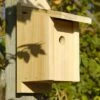 Joy Box Chickadee House 1 Joy Box Chickadee House -Pet Supplies Store HW 133A 400x666 058c7fee ab63 45e1 9deb b3f192d25778