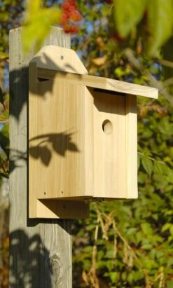 Joy Box Chickadee House