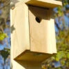 Joy Box Eastern Bluebird House 1 Joy Box Eastern Bluebird House -Pet Supplies Store HW 135A 400x666 77a3374d f27e 4b0b 85b0 fcdc42a9334e
