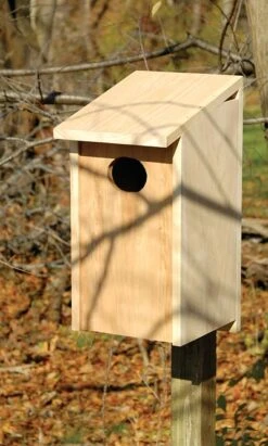 Joy Box Wood Duck House