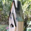 Graceland Bird House -Pet Supplies Store HW 228A 333x666 ba636bc2 7434 4f3c 9b41 6ea0ee1cbfb3