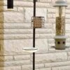 Wild Bird Feeding Station Kit -Pet Supplies Store PAP 89143 333x666 924d2a4c fa14 4127 9dc6 01ba832b295d