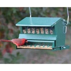 Absolute Bird Feeder With Pole And Hanger