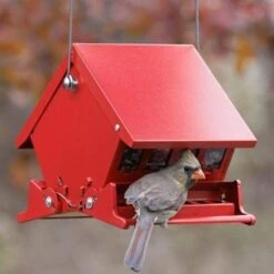 Absolute II Mini Bird Feeder