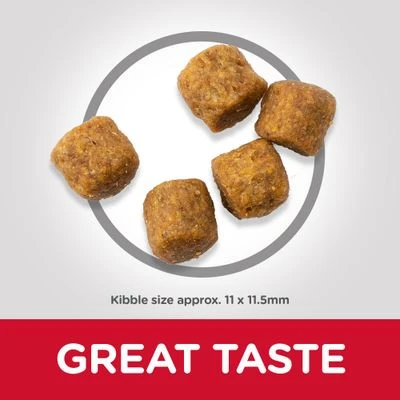 Hill's Science Plan Adult 1-6 Medium With Lamb & Rice 4 Hill's Science Plan Adult 1-6 Medium With Lamb & Rice - Image 2