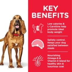 Hill's Science Plan Hill’s Science Plan Mature Adult 7+ Light Medium With Chicken -Pet Supplies Store atf8 604380 key benefits 8