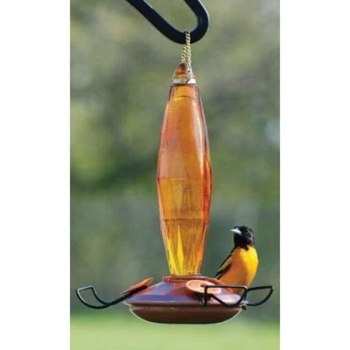 Audubon Amber Cut Glass Oriole Feeder -Pet Supplies Store audubon amber cut glass oriole feeder 25 01 50 00 bird feeders woodlink birdhousesandbaths 905