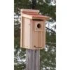 Audubon Coppertop Bluebird House -Pet Supplies Store audubon coppertop bluebird house 25 01 50 00 bird woodlink birdhousesandbaths 808