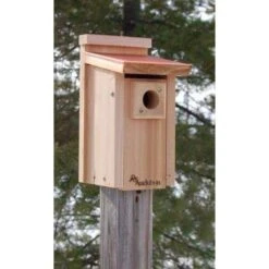 Audubon Coppertop Bluebird House