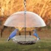 Audubon Domed Wild Bird Feeder -Pet Supplies Store audubon domed wild bird feeder 00 01 25 feeders woodlink birdhousesandbaths 243
