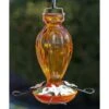 Audubon Fluted Glass Oriole Feeder -Pet Supplies Store audubon fluted glass oriole feeder 00 01 25 bird feeders woodlink birdhousesandbaths 670