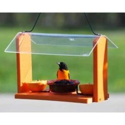 Audubon Recycled Plastic Oriole And Bluebird Feeder