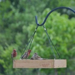 Bamboo Tray Bird Feeder -Pet Supplies Store bamboo tray bird feeder 00 01 25 feeders natures birdhousesandbaths 152