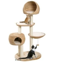 Karlie Paradise Banana-Leaf Cat Tree -Pet Supplies Store banana paradise cat tree 2
