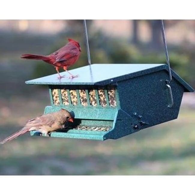 Bird's Choice Squirrel Proof Bird Feeder, Green 3 Bird's Choice Squirrel Proof Bird Feeder, Green