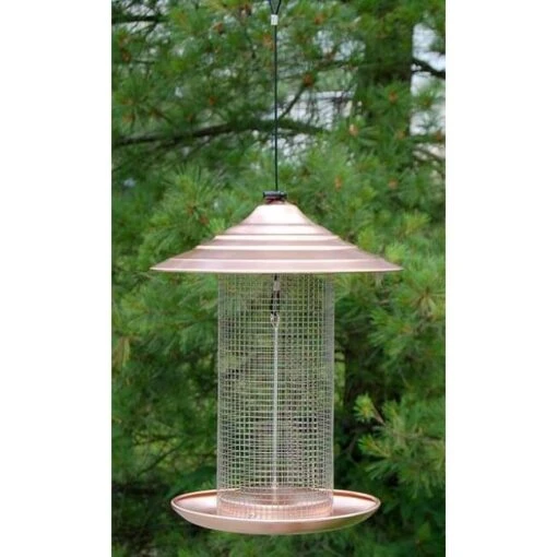 Brushed Copper Sunflower Seed Bird Feeder -Pet Supplies Store brushed copper sunflower seed bird feeder 25 01 50 00 feeders woodlink birdhousesandbaths 644