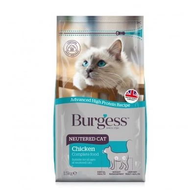 Burgess Neutered Cat 3 Burgess Neutered Cat