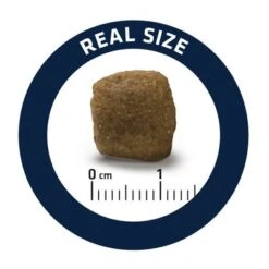 Advance Veterinary Diets Articular Care -Pet Supplies Store c 4 0