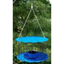 Caged Bluebird Feeder, Blue