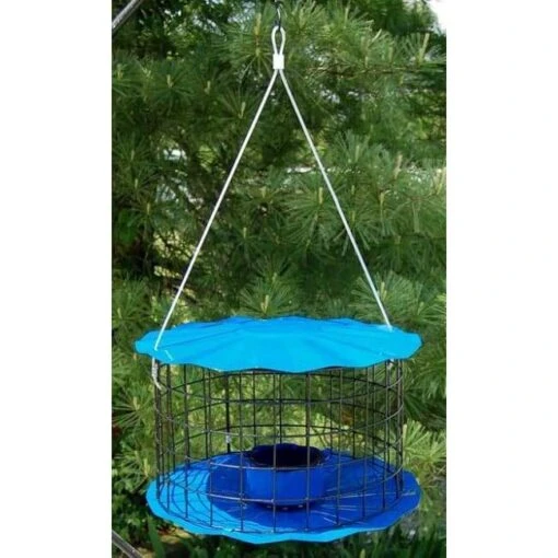 Caged Bluebird Feeder, Blue -Pet Supplies Store caged blue bluebird feeder 50 01 75 00 bird feeders erva tool die birdhousesandbaths 793