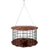 Caged Bluebird Feeder, Copper Colored 2 Caged Bluebird Feeder, Copper Colored -Pet Supplies Store caged copper colored bluebird feeder 50 01 75 00 bird feeders erva tool die birdhousesandbaths 115