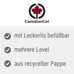 CanadianCat Company Intelligence Toy MagicBox -Pet Supplies Store canadiancat company intelligenzspielzeug magicbox usps 6