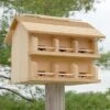 Purple Martin House With Crescent Entrance Holes - 12 Rooms -Pet Supplies Store cedar purple martin house w crescent entrance holes 125 01 150 00 bird heath mfg birdhousesandbaths 640