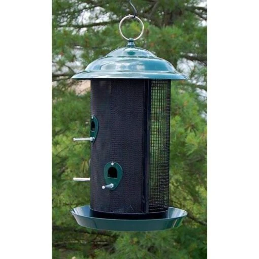 Combination Thistle & Seed Bird Feeder, Large -Pet Supplies Store combination thistle seed bird feeder large 25 01 50 00 feeders woodlink birdhousesandbaths 801