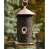 Copper Mixed Seed Mesh Bird Feeder -Pet Supplies Store copper mixed seed mesh bird feeder 25 01 50 00 feeders woodlink birdhousesandbaths 312