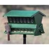 Double Sided Absolute II Bird Feeder With Pole & Hanger -Pet Supplies Store double sided absolute ii bird feeder pole hanger 50 01 75 00 feeders heritage farms birdhousesandbaths 122