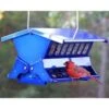 Double Sided Absolute II Squirrel Resistant Bird Feeder -Pet Supplies Store double sided absolute ii electric blue bird feeder 50 01 75 00 feeders heritage farms birdhousesandbaths 665