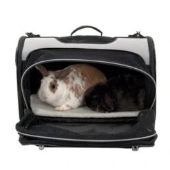 Pet Carrier Freedom With Side Extension 13 Pet Carrier Freedom With Side Extension -Pet Supplies Store dsc8258 2