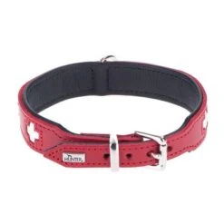 HUNTER Swiss Dog Collar -Pet Supplies Store dsc9097 ret 0