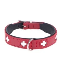HUNTER Swiss Dog Collar -Pet Supplies Store dsc9098 0