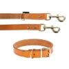 Heim Buffalo Dog Lead & Collar Set 1 Heim Buffalo Dog Lead & Collar Set -Pet Supplies Store dsc9138 2