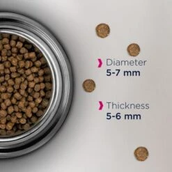 Eukanuba Healthy Start Kitten -Pet Supplies Store eukanuba healthy start kitten dcf foodshot 8