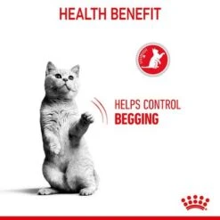 Royal Canin Appetite Control Care -Pet Supplies Store fcn22 hero image dry appetite control b1 page4 med res basic 1006482 4