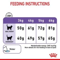 Royal Canin Appetite Control Care -Pet Supplies Store fcn22 hero image dry appetite control b1 page8 med res basic 1006487 5