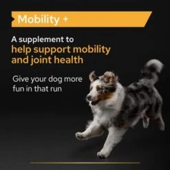 Pro Plan Mobility Dog Supplement Powder -Pet Supplies Store features 4