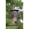 Grand Palace Caged Bird Feeder -Pet Supplies Store grand palace caged bird feeder 00 01 25 feeders heath mfg birdhousesandbaths 438