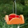 Going Green Oriole Feeder, Orange -Pet Supplies Store green oriole feeder orange 00 01 25 bird feeders woodlink birdhousesandbaths 358