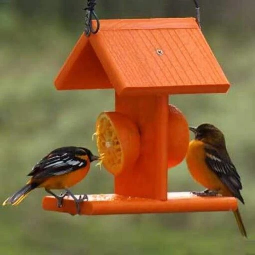 Going Green Recycled Plastic Oriole Fruit Feeder -Pet Supplies Store green recycled plastic oriole fruit feeder 25 01 50 00 bird feeders woodlink birdhousesandbaths 710
