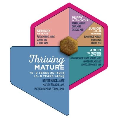 Eukanuba Thriving Mature Large Breed Chicken 7 Eukanuba Thriving Mature Large Breed Chicken - Image 5