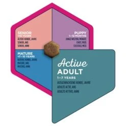 Eukanuba Active Adult Medium Breed Chicken 10 Eukanuba Active Adult Medium Breed Chicken -Pet Supplies Store iams eukanuba 8710255146119 3 3