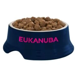 Eukanuba Active Adult Medium Breed Chicken 9 Eukanuba Active Adult Medium Breed Chicken -Pet Supplies Store iams eukanuba 8710255146119 4 0