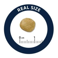 Advance Veterinary Diets Renal -Pet Supplies Store j 4 4