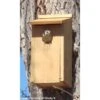 Kestrel And Screech Owl House 1 Kestrel And Screech Owl House -Pet Supplies Store kestrel screech owl house 50 01 75 00 bird woodlink birdhousesandbaths 751