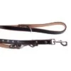 Heim Leather Dog Lead - Stars 2 Heim Leather Dog Lead - Stars -Pet Supplies Store lederleinen 70 ret 8