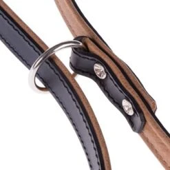 Heim Leather Dog Lead - Stars -Pet Supplies Store lederleinen 72 8