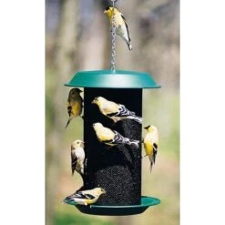 Magnum Thistle Seed Bird Feeder